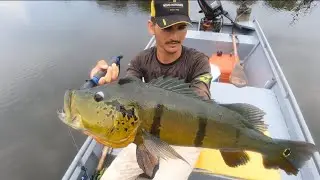 PEGAMOS MAIS DE 40 PEIXES NESSA PESCARIA, SEM CONTAR A RESENHA. 🎣😂