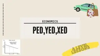 Master the ELASTICITY Concepts (PED, YED, XED) | A Level Economics (2024)