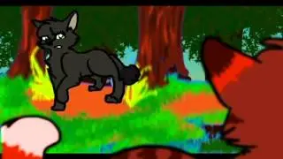 Hollyleaf MEP for DragonWolfRooke