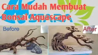 Aquascape Tutorial 