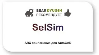 SelSim. ARX приложение для AutoCAD