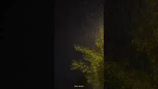 Ты моя дунья ❤️ 