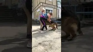 Сегодня повидала еще одного сыночка Кайрюши❤️‍🔥❤️‍🔥❤️‍🔥. Майбах
