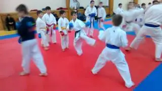 Денис Добровольский отработка кизами цуки.