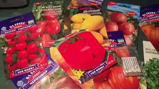 Очень вкусные томаты для посева (часть 3). Красноплодные гиганты.