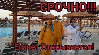 ЕГИПЕТ ОТКРЫВАЕТСЯ!! Египетские отели готовятся принимать гостей в начале июня