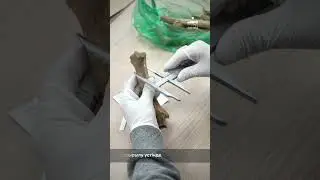 Мәдени мұраны ғылыми-зерттеу институтындағы ғылыми жоба бойынша жұмыстар #ұлттықмузей