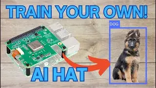 Deploy Custom YOLO Models on Raspberry Pi AI HAT (Hailo-8 Tutorial)