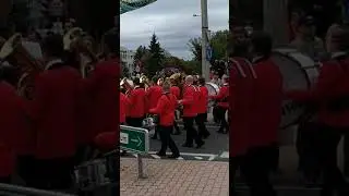 Móri Bórnapok 3.0