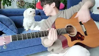 The Beatles - Blackbird (cover)