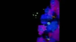Nsolo - Flower [ 花 ]