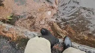 Unblocking clogged storm drain on 6/24/23.