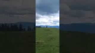 Як виглядають Карпати сьогодні