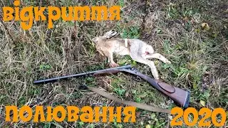 Полювання на зайця. Відкриття 2020.