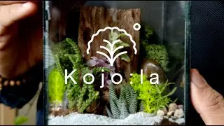 Fauzi Yusoff X Kōjō la