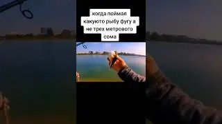 база #shorts #short #memes