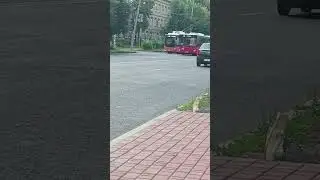 автобус номер 630 маршрут 18с и троллейбус номер 304 маршрут 8