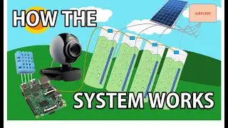 Algae Project : Explaining how the system works
