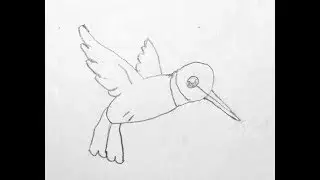 Марусяс. Marusyas Рисуем с малышами летящую птицу (колибри). Draw with baby flying bird  hummingbird