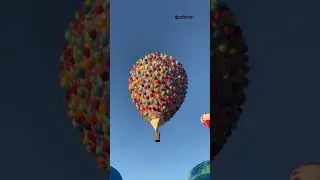 MOMENTOS FOFOS DISNEY - Up | Marcella Nery 