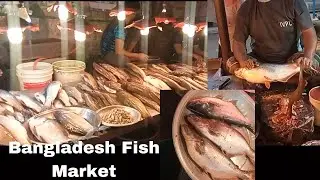 Exploring the Bustling and Busy Fish Markets of Bangladesh!! || 