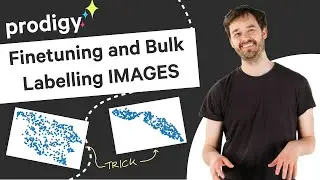 Finetuning and Bulk Labelling IMAGES with Prodigy
