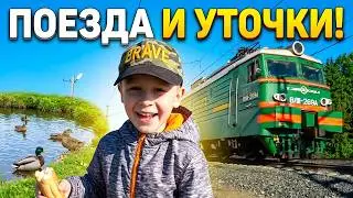 Макс смотрит поезда и кормит уточек видео для детей