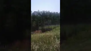 Утро у озера.