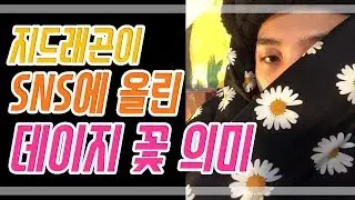 지드래곤이 SNS에 올린 데이지 꽃의 의미