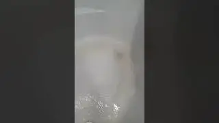 Грязная вода в Cургуте