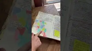 Bible Flip Through 📖✨ Flip Through My Favorite New Testament Pages