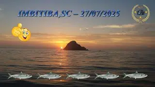 Sardinhas Para Conserva 2025
