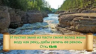 Проповедь: Отк. 