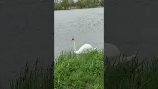 Рибачка ! 😁