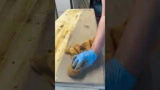🫰ASMR Bleached Dresser Flip! Yes or YES? #furniturerenovation #furnitureflip #asmr #furniturerepair