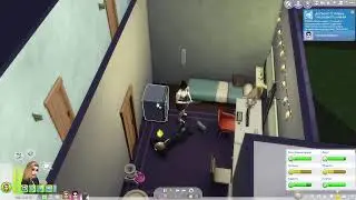 Bad Sims Live Stream