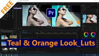 Teal & Orange Look Luts color grading Import Adobe premiere pro ?