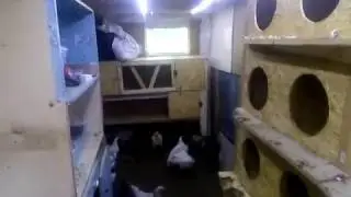 НАНО КУРЯТНИК СВОИМИ РУКАМИ ИЗ СТАРОГО САРАЯ! ЧАСТЬ 1NANO COOP WITH YOUR OWN HANDS