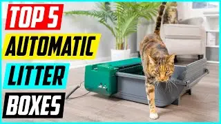 Top 5 Best Automatic Litter Boxes