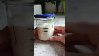 How to understand the lifting power of wheat sourdough?