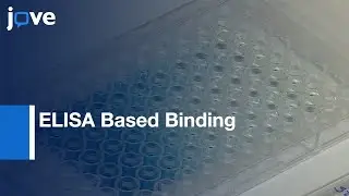ELISA Based Binding & Competition: Rapidly Determine Ligand-Receptor Interactions l Protocol Preview