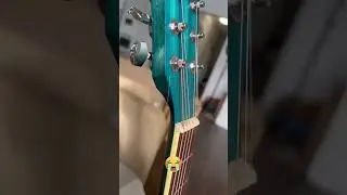 Как мой кот сломал мне гитару