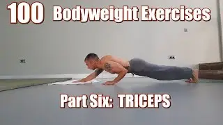 100 BODYWEIGHT EXERCISES (NO GYM REQUIRED) | TRICEPS
