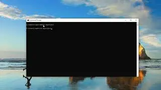 Installing Pea On Your Pc 2