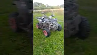 11 августа 2024 г.