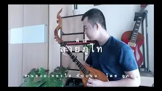 พิณ : ลายภูไท ทำนอง อ.ทองใส ทับถนน โดย อุกฤษ