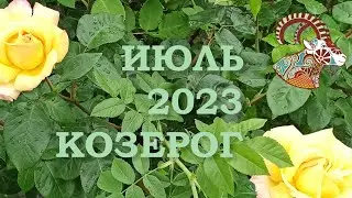 КОЗЕРОГ | Послания Вселенной на ИЮЛЬ 2023 года | ЖЕЛАНИЕ | ТАРО расклад