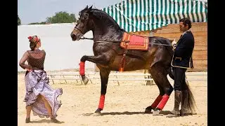 Jerez Feria del Caballo Paco de Lucia Entre dos aguas HD 1080