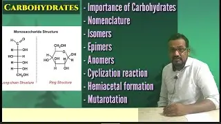 Lecture-11| (P1)| CARBOHYDRATES - Isomer, Epimer, Anomer | Hemiacetal | Mutarotation | All Concepts