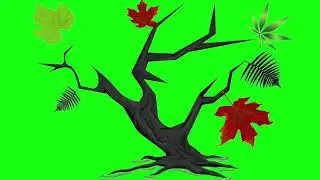 TREE / AUTUMN GREEN SCREEN
